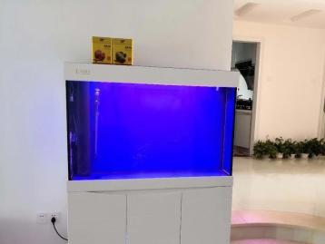 图 深圳买鱼缸 送货上门安装,专业售后有保障 深圳宠物食品 用品